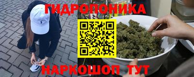 скорость Будённовск
